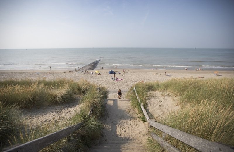 Website 11 11 2023 8