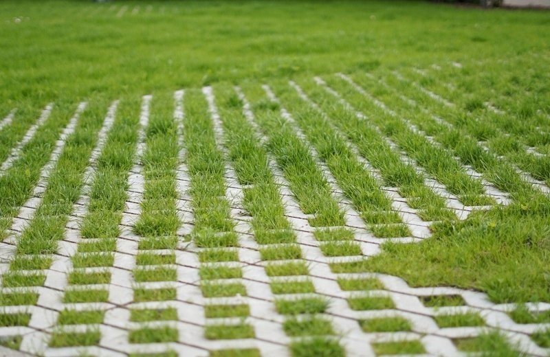 Whatsapp image 2023 05 15 at 174757